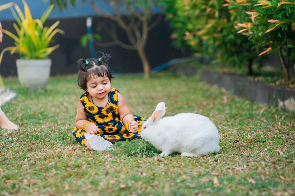 rabbit veterinary