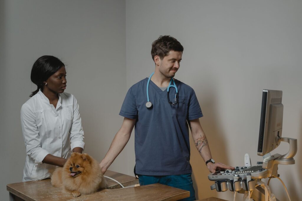 understanding high alt levels in ferrets with liver disease
