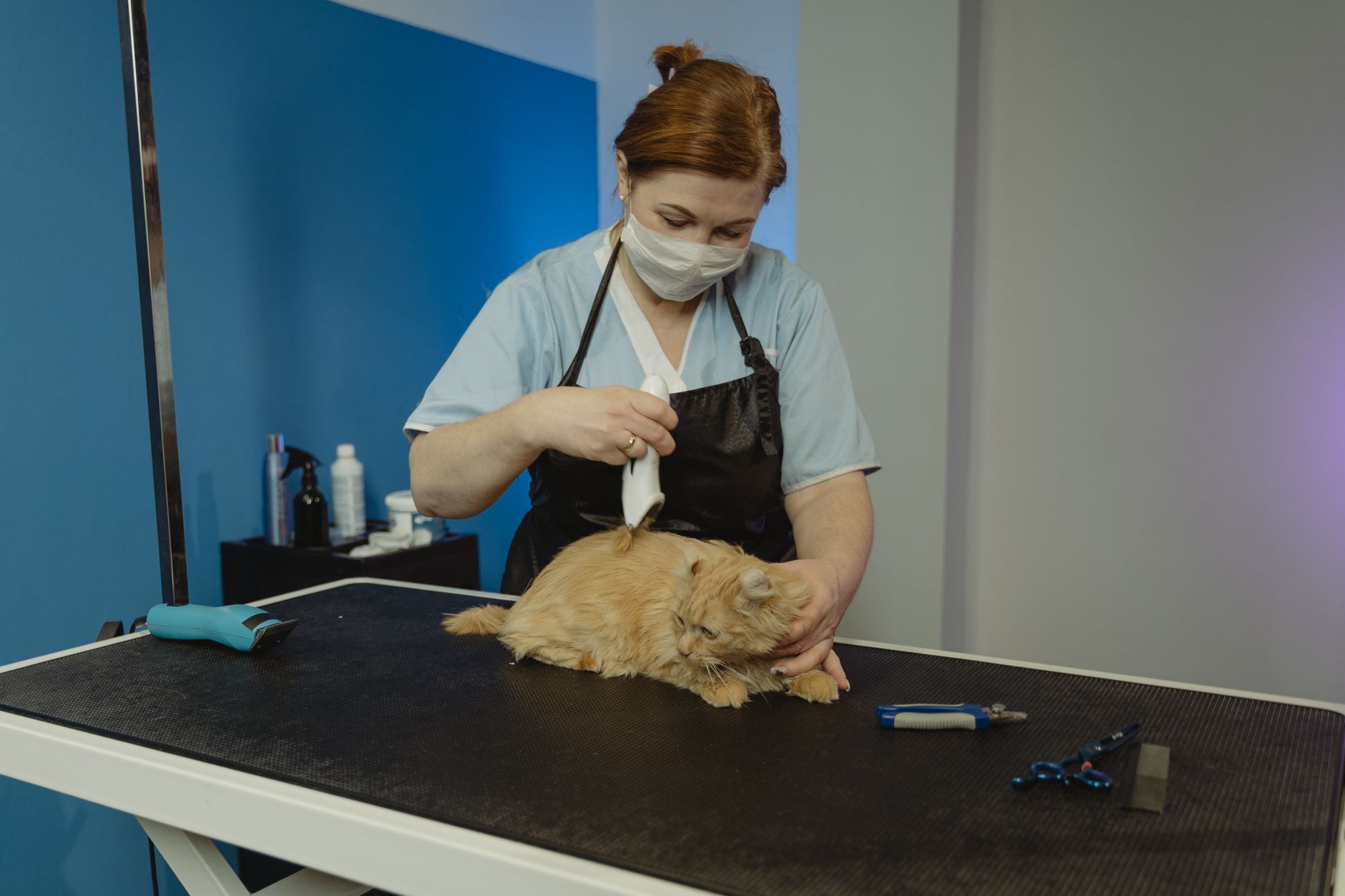 Veterinarian reviewing a laboratory report with the owner