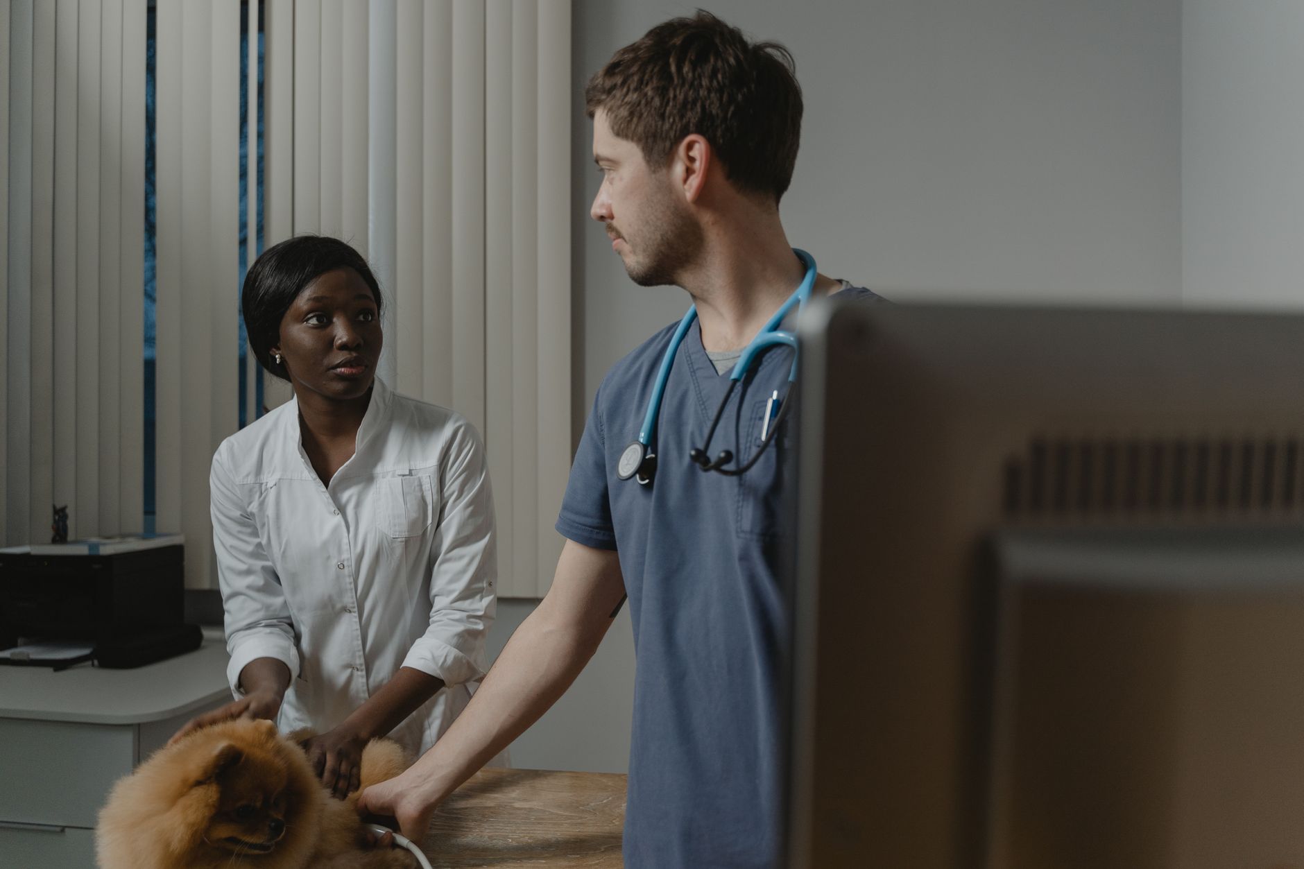 Pet owner discussing laboratory results with a veterinarian