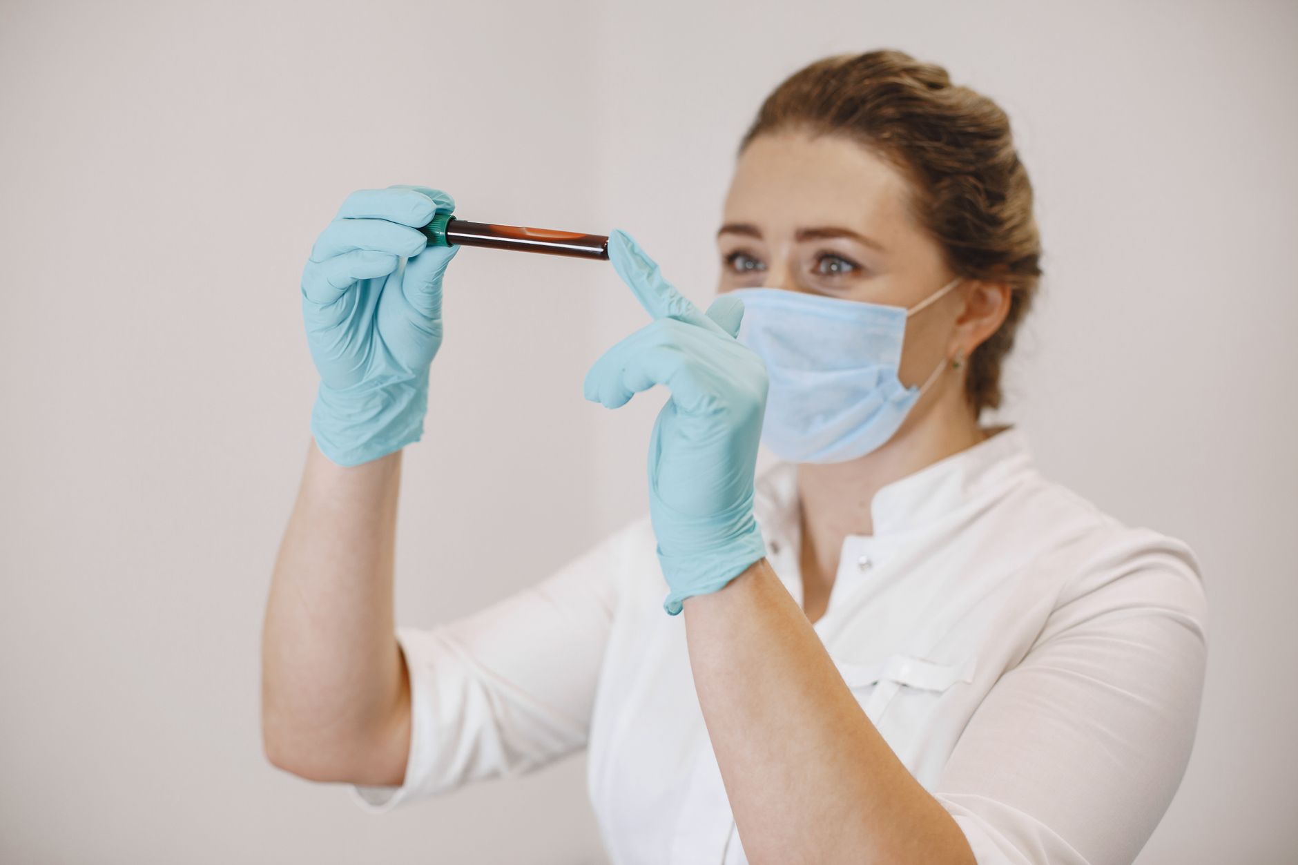 Veterinarian examining a cat during a checkup