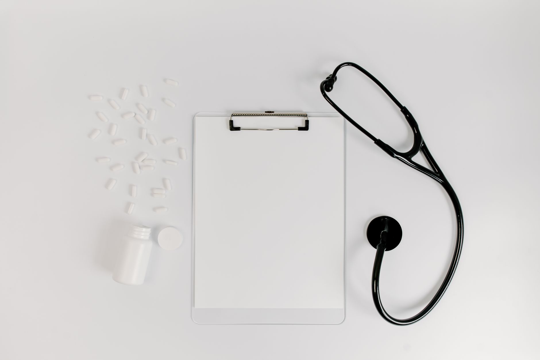 Healthcare and wellness consultation for a dog