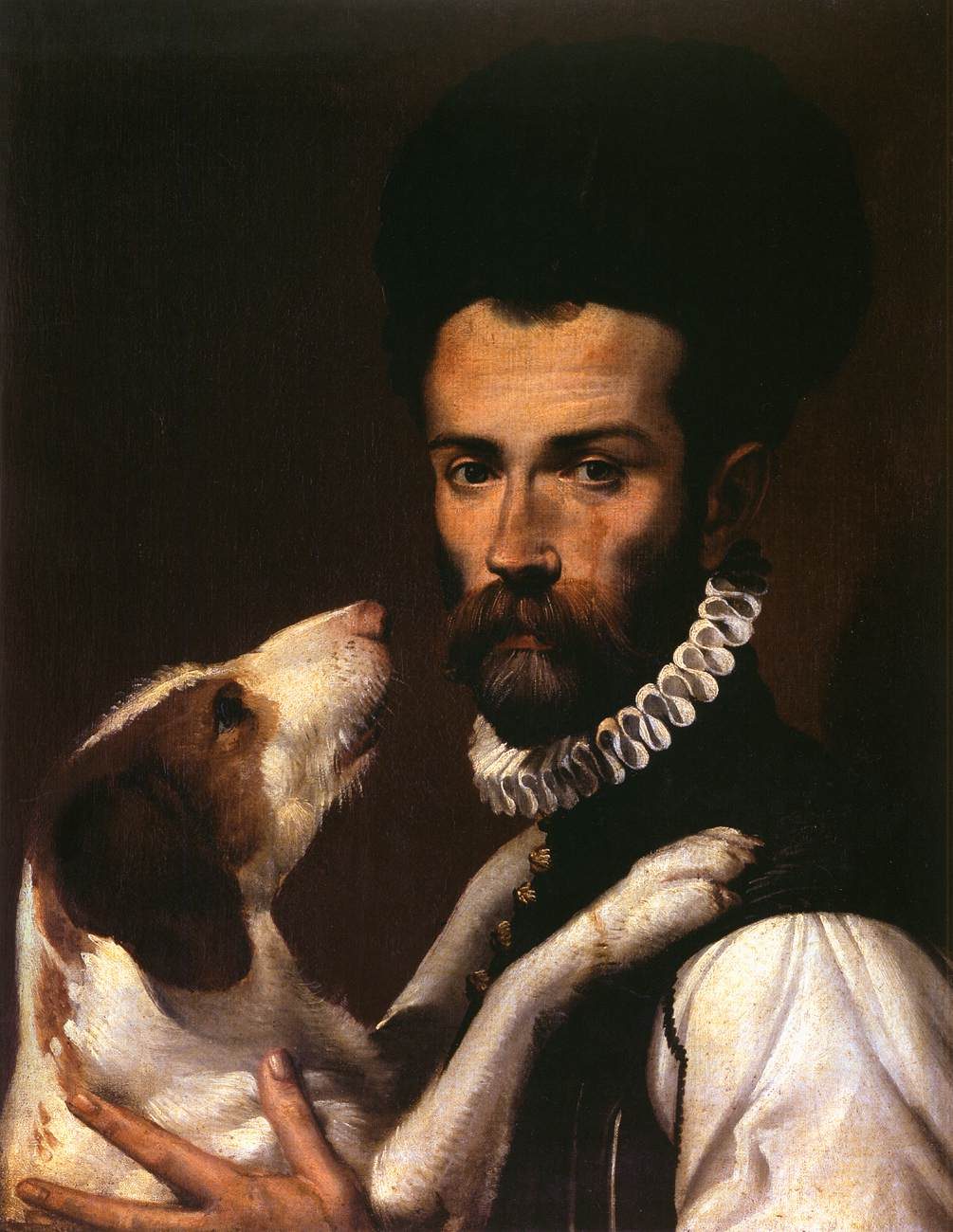 Portrait of a dog at a veterinary clinic