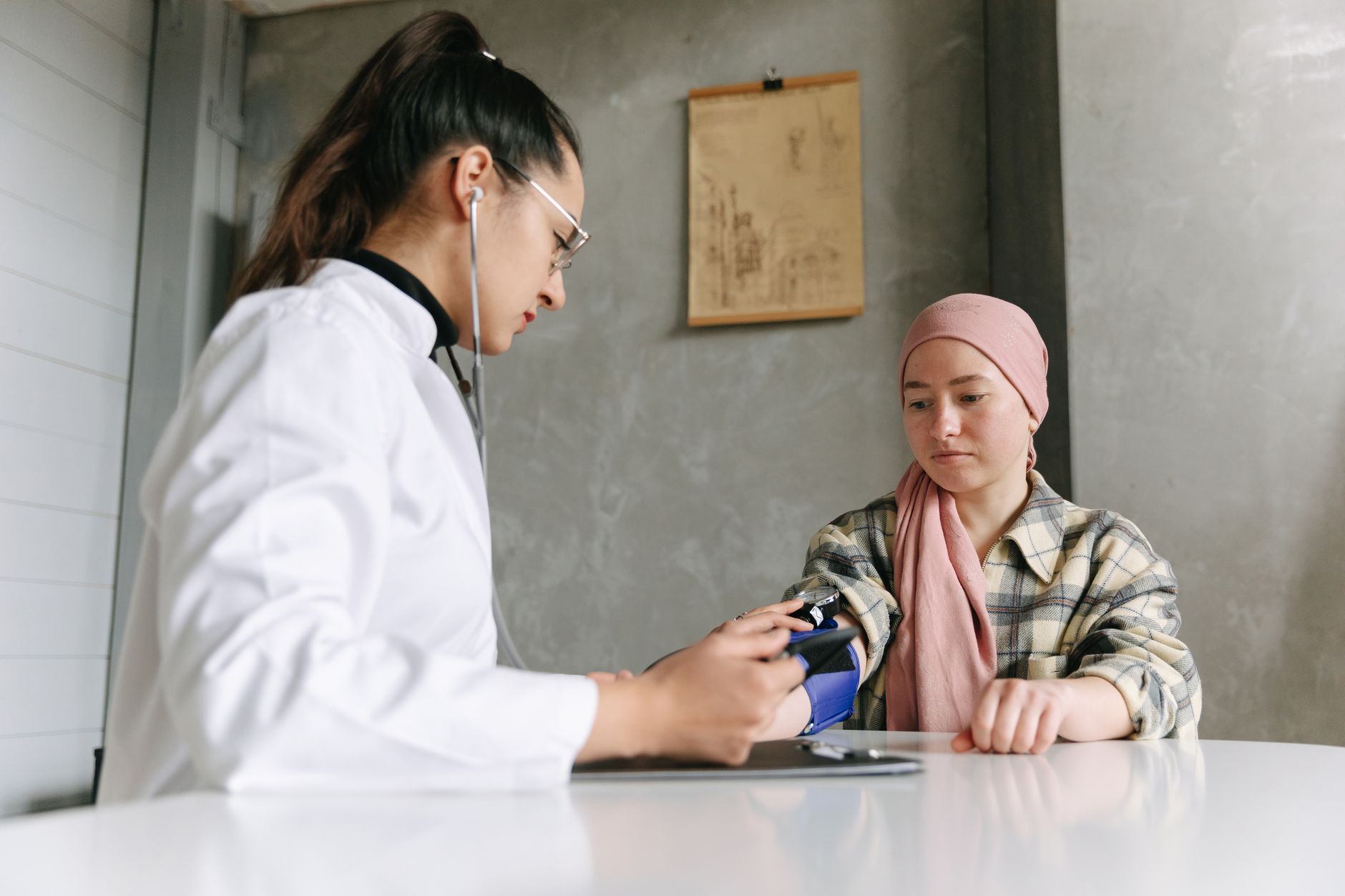 Healthcare and wellness consultation for a cat